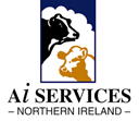 AI Services Ltd