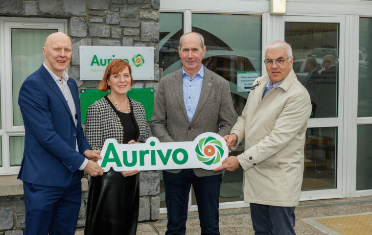 Aurivo A Dillon 049 JC