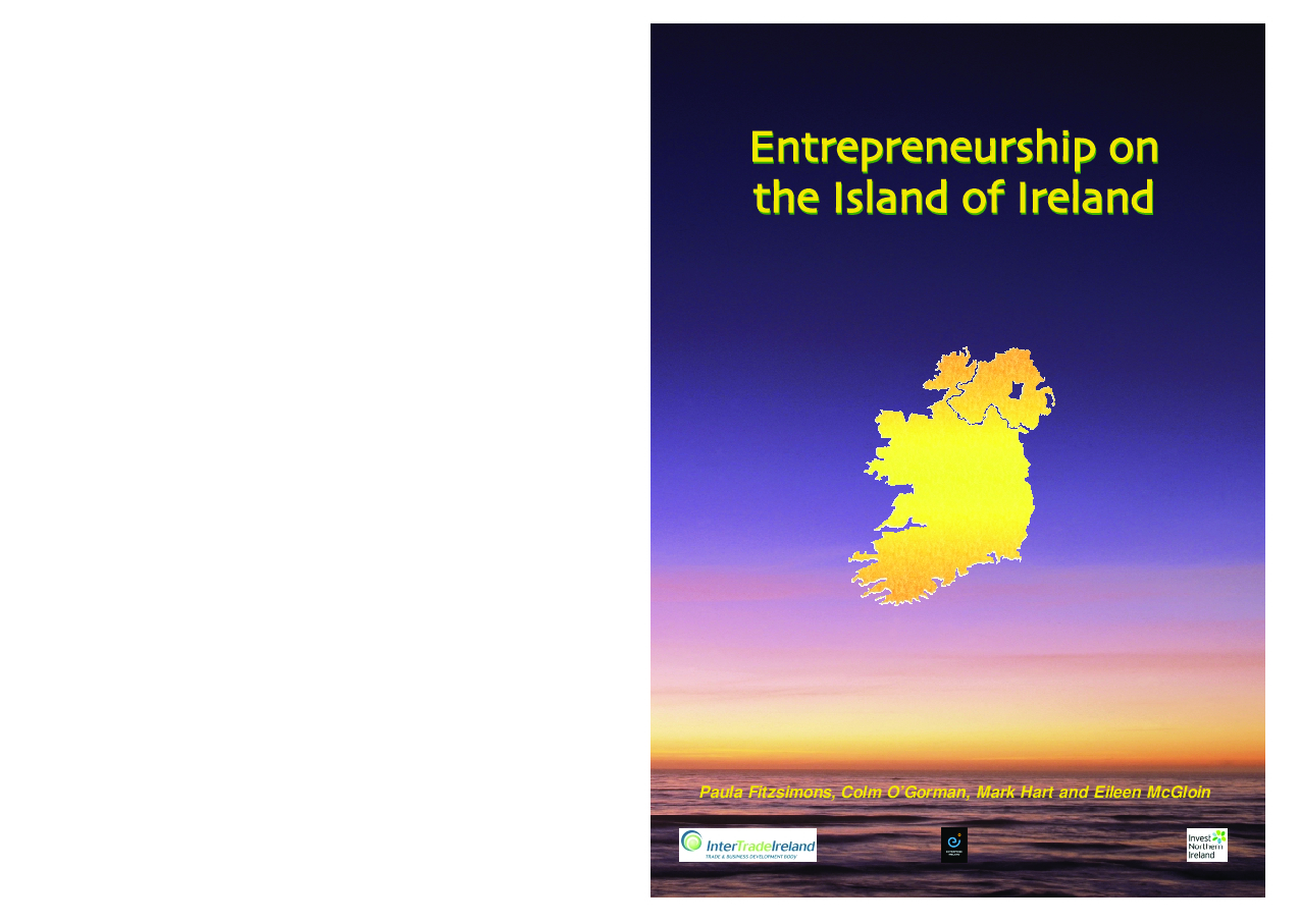 Entrepreneurship on the Island of Ireland 2003