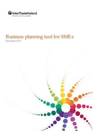 Business Plan Tool For Established SM Es
